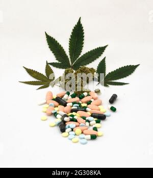 Marihuanablätter, Knospen, essbares medizinisches Marihuana Stockfoto