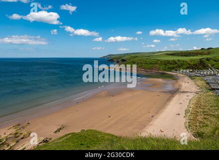 Berwickshire, Schottland, Großbritannien, 13. Juni 2021. UK Wetter: Heißester Tag des Jahres, da die Menschen die Natur mit Menschen am Strand in der Sonne von Pease Bay genießen Stockfoto