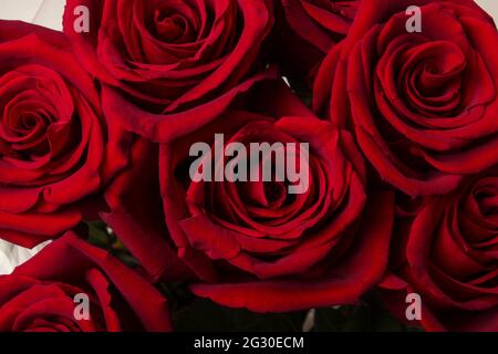 Rote Rosen in einem Blumenstrauß aus nächster Nähe. Blick von oben Stockfoto