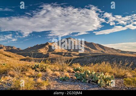 Chinati Mountains, Future State Park, Blick von der Pinto Canyon Road, Big Bend Country, Texas, USA Stockfoto