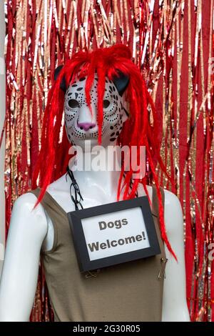 Dummy vor einem Geschäft mit einem Schild Hunde Willkommen, UK Stockfoto