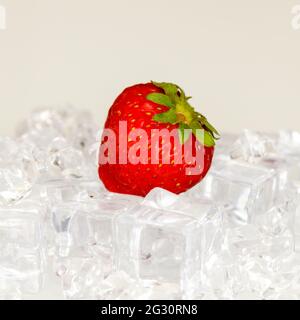 Erdbeere liegt in Eiswürfeln, Minimal-Konzept, heller Hintergrund Stockfoto