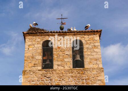 Glockenturm mit Störchen auf dem Dach. Immaculate Conception Parish. Es wurde über viele Jahrhunderte hinweg erbaut und verbindet sich von der Romanik bis zum Barock. Soto del Real, Com Stockfoto