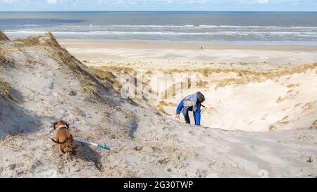 Reife Frau klettert eine Küstendüne zwischen dem weißen Sand mit ihrem Dackel mit dem Strand und dem Meer im Hintergrund, sonniger Tag in Hargen aan Zee, Nein Stockfoto