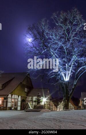 Romantische Nachtlandschaft in der alten deutschen Stadt mit Fachwerkhäusern und schneebedecktem Baum im Mondlicht, Tecklenburg, Deutschland Stockfoto