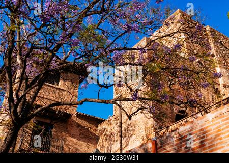 Die Alcazaba ist eine palastartige Festung in Málaga. Es wurde von der Hammudid-Dynastie im frühen 11. Jahrhundert erbaut. Es ist die am besten erhaltene alcazaba Stockfoto