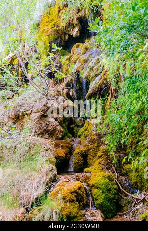 Wasserfälle, Rio Cuervo - Fluss Cuervo, Naturdenkmal im Sommer. Vega del Codorno, Cuenca, Castilla La Mancha, Spanien, Europa Stockfoto