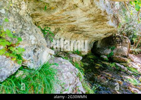 Quelle Geburt des Flusses Cuervo. Der Fluss Cuervo wird neben der Stadt Vega del Codorno (Cuenca, Spanien) geboren, genauer gesagt auf der Westseite von t Stockfoto
