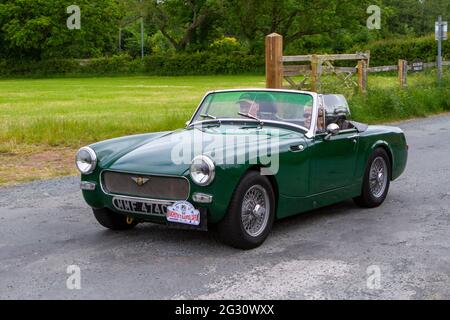 1965 der grüne Austin Healey Sprite zweitüriger Sportwagen der 60er Jahre beim 58. Annual Classic Car Run bei Ankunft in Heskin Hall, Lancashire, Großbritannien Stockfoto