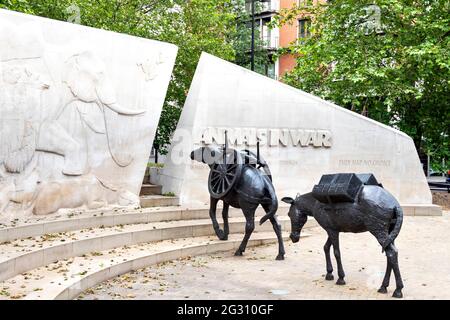 LONDON ENGLAND TIERE IM KRIEGSDENKMAL ODER DENKMAL HYDE PARK SIE HATTEN KEINE WAHL ZWEI MAULTIERE DES BILDHAUERS DAVID BACKHOUSE Stockfoto