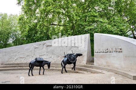 LONDON ENGLAND TIERE IN WAR MEMORIAL ODER DENKMAL HYDE PARK SIE HATTEN KEINE WAHL ZWEI MAULTIERE Stockfoto