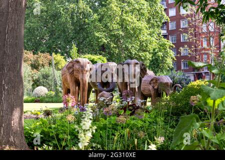 LONDON ENGLAND ELEFANTEN AUS LANTANA CAMARA ODER WILDSALBEI PFLANZEN HERDE IN CADOGAN GÄRTEN MIT BLUMEN SLOANE STRASSE Stockfoto