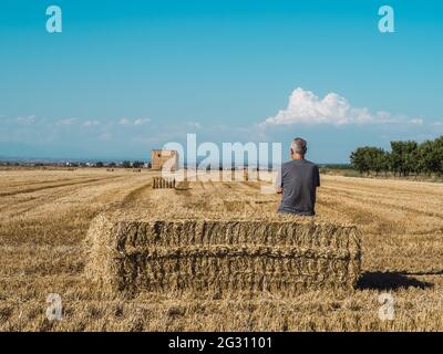 Der ältere Bauer sitzt auf dem Strohballen und beobachtet das Feld. Agrarkonzept. Stockfoto
