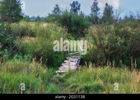 Alte Holzbrücke über den Bach im verlassenen Dorf Stockfoto