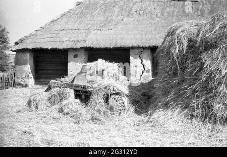 Wehrmacht Heer leichter Panzerkampfwagen i PzKpfw i Panzer i Ausf. A - Panzerkampfwagen der deutschen Armee / leichter Panzer I Mark / Mk A Stockfoto