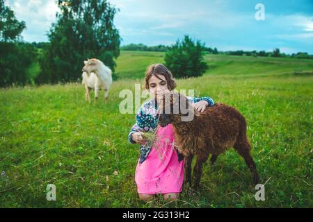 Ein Kind füttert ein Schaf auf einer Wiese. Selektiver Fokus. Natur. Stockfoto