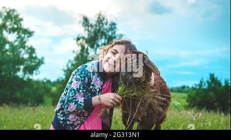 Ein Kind füttert ein Schaf auf einer Wiese. Selektiver Fokus. Natur. Stockfoto