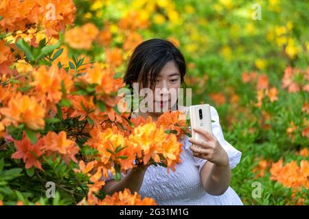 Junge Frau, die ein Selfie unter blühenden Rhododendronen im Haaga Rhododendron Park in Helsinki, Finnland, macht Stockfoto