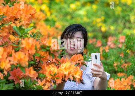 Junge Frau, die ein Selfie mit dem Mobiltelefon unter blühenden Rhododendronen im Haaga Rhododendron Park in Helsinki, Finnland, macht Stockfoto