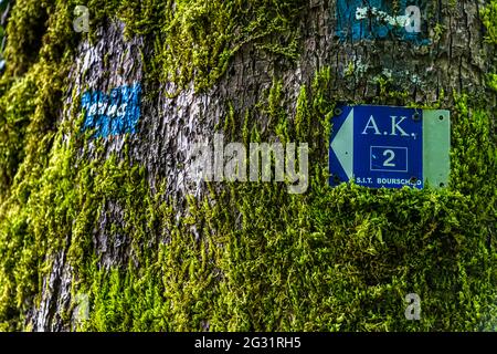 Schilder auf dem Wanderweg Escardienne LEE Trail in der Nähe von Lipperscheid, Luxemburg Stockfoto