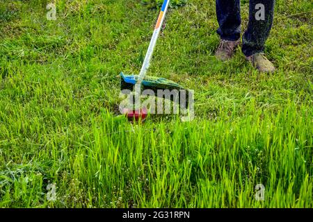 Prozess des Schneidens von grünem Gras mit Trimmer. Rotierender Kopf mit roter Angelschnur schneidet Gras. Benzinbetriebener Mäher. Nahaufnahme. Selektiver Fokus. Stockfoto