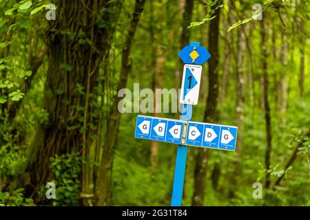 Markierte Wanderwege in Luxemburg Stockfoto