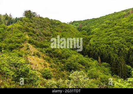 Wanderung über einen Schieferkammweg im Parc Hosingen, Luxemburg. Der Molberlee Ridge. Hier führt ein enger Pfad etwa 500 Meter über krümeliges Schiefergestein. Es geht, auch wenn das Bild es nicht so zeigt, auf beiden Seiten recht steil nach unten Stockfoto