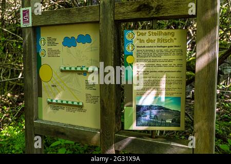 Weinberg 'in der Ritsch' bei Ahn, Luxemburg Stockfoto