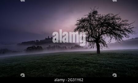 Braunfels im Morgennebel Stockfoto