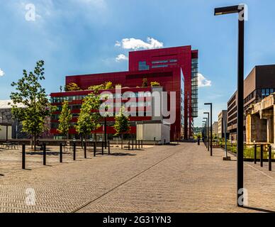 Campus Belval der Universität Luxemburg in Esch-sur-Alzette, Luxemburg Stockfoto