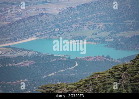 Schöner Blick vom Chelia National Park. Atlas Zedernwald (Cedrus Atlantica) in Mount Chelia im Aures-Gebirge in Algerien Stockfoto