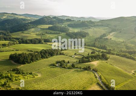 Luftaufnahme der Landschaft mit Weinbergen Hügel und Wälder in Oltrepo Pavese mit Kurven Stockfoto