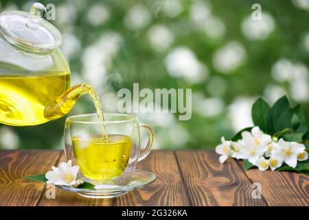 Grüner Tee mit Jasminblüten, die aus einer Glasküche in eine Tasse gießen Stockfoto