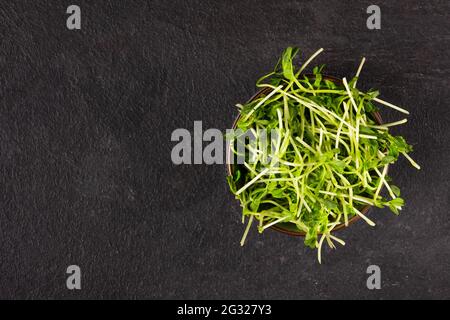 Schale mit Erbsen-Mikrogemüse auf schwarzem Hintergrund Draufsicht. Gekeimtes Saatgut. Gesunde Ernährung Sprossen. Stockfoto