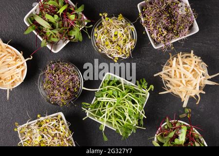 Mix aus verschiedenen Sprossen auf schwarzem Hintergrund Draufsicht. Gekeimtes Saatgut. Gesunde Ernährung, Entgiftung. Stockfoto