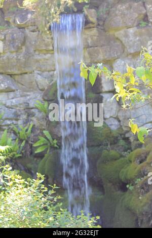 Botanischer Garten Der Universität Utrecht Stockfoto