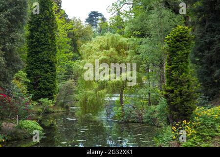 Leonardslee Lakes and Gardens, Sussex, England Stockfoto