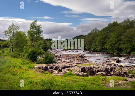 River Tees im Frühjahr in Upper Teesdale, County Durham, England Stockfoto