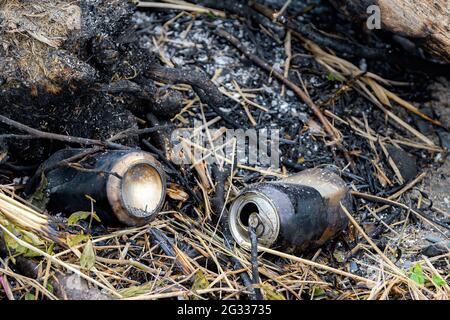 Zwei verbrannte Bierdosen liegen bei Tageslicht am Rand einer Feuerstelle. Das Feuer ist am Tag nach der Party. Geringe Schärfentiefe, Fokus auf Dosen. Stockfoto