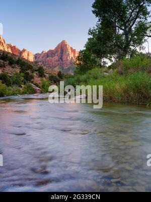 ZION NATIONAL PARK, UTAH - CA. AUGUST 2020: Virgin River und der Watchman Mountain in der Nähe von Springdale in Utah. Stockfoto