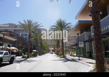 Palm Springs, California, USA 10. Juni 2021 EIN allgemeiner Blick auf die Atmosphäre der Palmen in Palm Springs, Kalifornien, USA. Foto von Barry King/Alamy Stockfoto Stockfoto