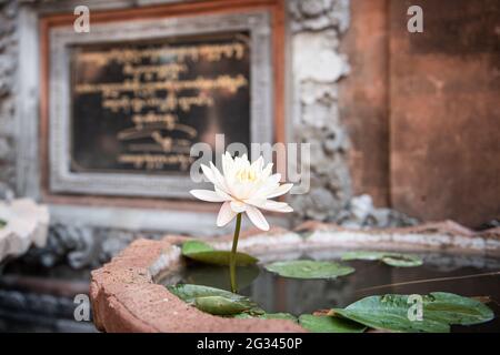 Schönen Bali Stockfoto