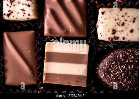 Schweizer Pralinen in Geschenkbox, verschiedene Luxus-Pralinen aus dunkler und milcher Bio-Schokolade in der Schweizer Chocolaterie, süße Dessertspeisen wie Stockfoto