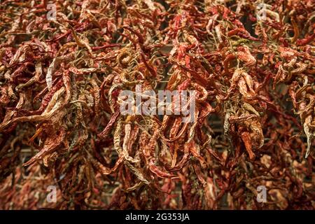 Getrockneter Chilischote, der in der Türkei auf dem Markt erhältlich ist Stockfoto