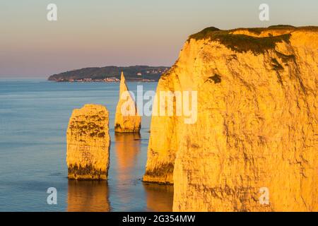 The Pinnacles, Swanage, Dorset, Großbritannien. Juni 2021. Wetter in Großbritannien. Die Pinnacles und Klippen in der Nähe der Old Harry Rocks in Dorset leuchten an einem warmen, klaren Sommermorgen kurz nach Sonnenaufgang orange im goldenen Licht. Bildnachweis: Graham Hunt/Alamy Live News Stockfoto