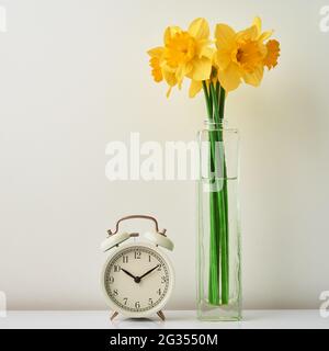 Vintahe Wecker und Narzissen Blumen in Vase auf weißem Hintergrund. Frühling. Zeitsparendes Konzept Stockfoto