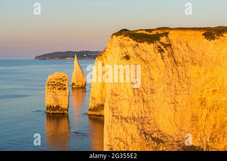 The Pinnacles, Swanage, Dorset, Großbritannien. Juni 2021. Wetter in Großbritannien. Die Pinnacles und Klippen in der Nähe der Old Harry Rocks in Dorset leuchten an einem warmen, klaren Sommermorgen kurz nach Sonnenaufgang orange im goldenen Licht. Bildnachweis: Graham Hunt/Alamy Live News Stockfoto