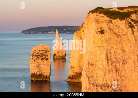 The Pinnacles, Swanage, Dorset, Großbritannien. Juni 2021. Wetter in Großbritannien. Die Pinnacles und Klippen in der Nähe der Old Harry Rocks in Dorset leuchten an einem warmen, klaren Sommermorgen kurz nach Sonnenaufgang orange im goldenen Licht. Bildnachweis: Graham Hunt/Alamy Live News Stockfoto