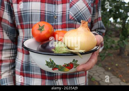 Ein Mann hält eine Schüssel mit frischem Gemüse in den Händen. In einer Schüssel, sind Zucchini, Tomaten, Auberginen und Zwiebeln. Selektiver Fokus. Stockfoto