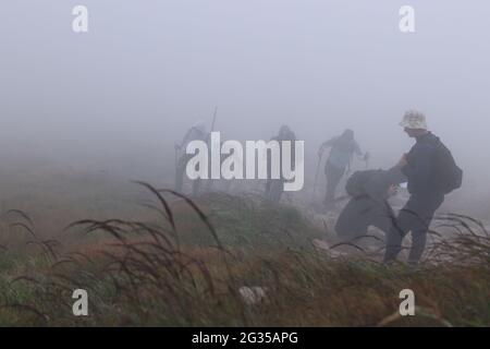 Gipfel Hoverla/Ukraine - 16 2020. August: Touristen steigen bei starkem Nebel auf den Berg Hoverla. Die Spitze des Berges ist mit Wolken bedeckt. Stockfoto